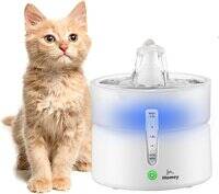 نافورة الماء النباتي ذات الطاقة المزدوجة بقيادة