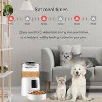 موزع طعام أوتوماتيكي للحيوانات الأليفة من هومي سعة 4 لتر - ذكي وموقوت
