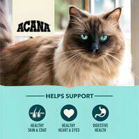 Acana Bountiful Catch Wild-Caught Salmon Herring & Hake Adult Dry Cat Food F2F200622K0