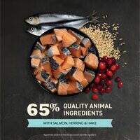 Acana Bountiful Catch Wild-Caught Salmon Herring & Hake Adult Dry Cat Food F2F200622K0