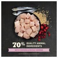 Acana Chicken with Herring First Feast Kitten Dry Cat Food 1.8kg  F2F200423K0