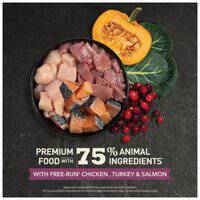 Acana Highest Protein Grain-Free Complete Kitten Dry Food 202903