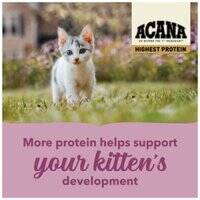 Acana Highest Protein Grain-Free Complete Kitten Dry Food 202903