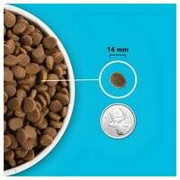 Acana Highest Protein Pacifica Recipe Dry Dog Food 106740-1