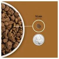 Acana Highest Protein Rachlands Recipe Dry Dog Food 106748-1