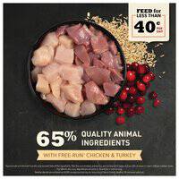 Acana Homestead Harvest Chicken With Turkey Dry Cat Food 106546-1