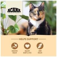 Acana Homestead Harvest Chicken With Turkey Dry Cat Food 106546-1