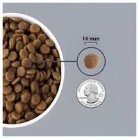 Acana Light and Fit Recipe Dry Dog Food 106550-1