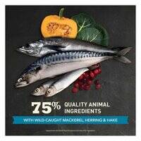 Acana Pacifica Highest-Protein Cat Dry Food  101825-1