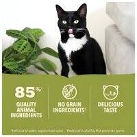 Acana Premium Chicken Pate Cat Wet Food 85G 106536-1