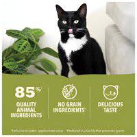 Acana Premium Salmon & Chicken Pate Cat Wet Food 85G 106539-1