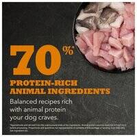 Acana Puppy Large Breed Recipe Dry Dog Food 064992501112