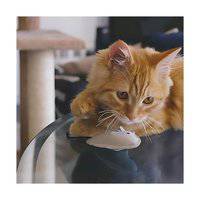 Beco Family Millie the Mouse with Catnip Cat Toy