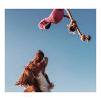 Beco Pets Dual Material Soft Flamingo Recycled Dog Toy
