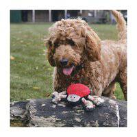 Beco Pets Rough And Tough Spider Recycled Dog Toy