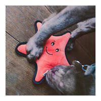 Beco Pets Rough And Tough Starfish Recycled Dog Toy