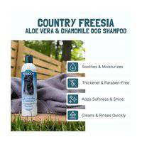 Bio-Groom Country Freesia Dog Shampoo