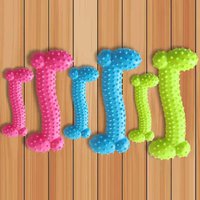 Bone Dog Toy