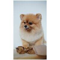 بونيف - قطع رئة لحم الضأن المجففة بالهواء، من مزارع عشبية حرة - ٧٠ غرام