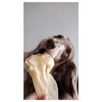 Boneve Air-Dried Free-Range Grass-Fed Venison Ear Dog Treat - 70G 106764-1