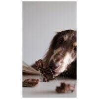 Boneve Air-Dried Free-Range Grass-Fed Venison Lung Dog Treat - 85G  106765-1