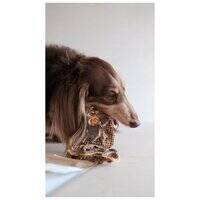 Boneve Air-Dried Free-Range Grass-Fed Venison Neck Bone Slice Dog Treat - 100G  106766-1