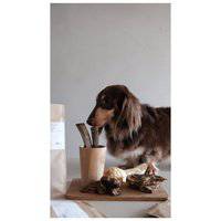 Boneve Air-Dried Free-Range Grass-Fed Venison Ribs Dog Treat - 200G 106767-1