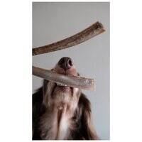 Boneve Air-Dried Free-Range Grass-Fed Venison Ribs Dog Treat - 200G 106767-1