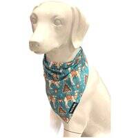Bud & Billy Dunes Oasis Bandana 207089-2