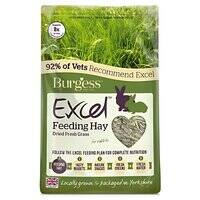 Burgess Excel Fresh Forage Feeding Hay for Small Pets  101308-1