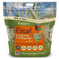 Burgess Excel Long Stem Feeding Hay for Small Pets 101307-1