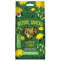 Burgess Excel Luscious Leaves Small Pet Treats 60G 102594-1