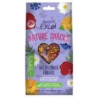 Burgess Excel Wildflower Forage Small Pet Treats 75G 102595-1