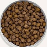 Canagan Dental Free Run Turkey Small Breed Dry Dog Food 300935
