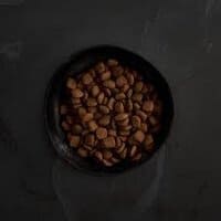 Canagan Grass-Fed Lamb Dry Dog Food 300767