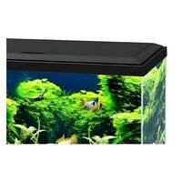 Ciano Aqua 60 Aquarium with LED Light