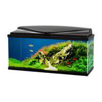 Ciano Aqua 80 Aquarium with LED Light