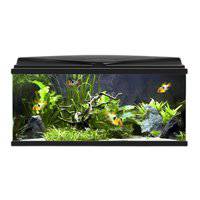 Ciano Aqua 80 Aquarium with LED Light