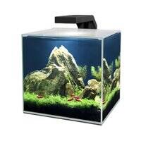 Ciano Cube 10 LED Aquarium