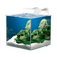 Ciano Nexus Pure 15 Cube Aquarium