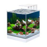 Ciano Nexus Pure 25 Aquarium