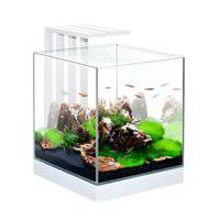 Ciano Nexus Pure 25 Aquarium