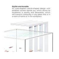 Ciano Nexus Pure 25 Aquarium