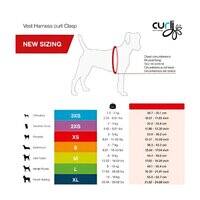 Curli Vest Harness with Curli Clasp Air Mesh And Leash for Dogs