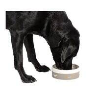 Danish Design Fatface Marching Dogs Pet Bowl