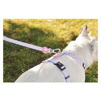 Dashi Coral Leash for Dogs