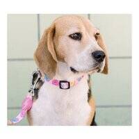 Dashi Donut Leash for Dogs