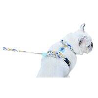 Dashi Nebula Back Harness for Dogs