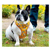 Dashi Snooze Neo Mesh Harness for Dogs