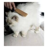 D&D Home I Love Happy Cats April Wood Pin Brush for Cats